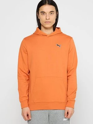 Bluza z kapturem Puma