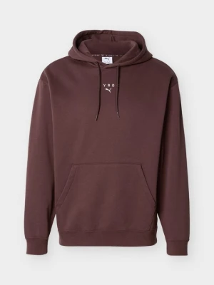 Bluza z kapturem Puma ciemnobrązowy