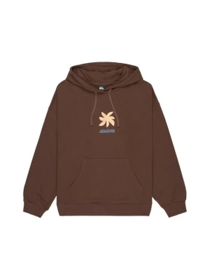 Bluza z kapturem Quiksilver brązowy