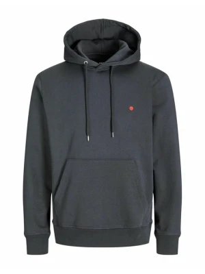 Bluza z kapturem R.D.D. ROYAL DENIM DIVISION szary
