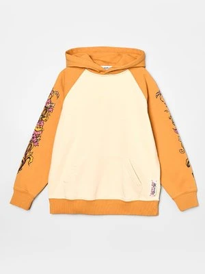 Bluza z kapturem Replay