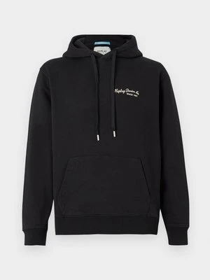 Zdjęcie produktu Bluza z kapturem Replay