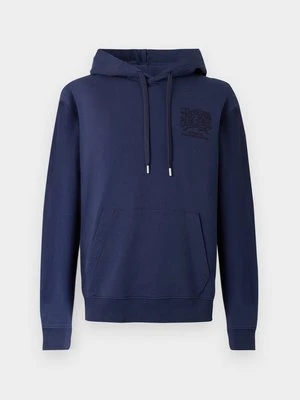 Zdjęcie produktu Bluza z kapturem Replay