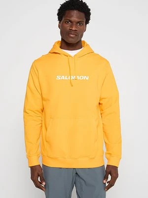 Bluza z kapturem Salomon
