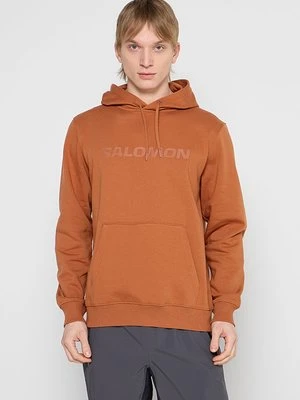 Bluza z kapturem Salomon