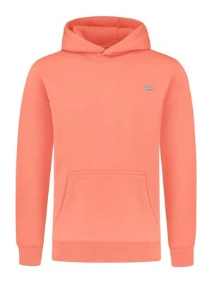 Bluza z kapturem Smilodox