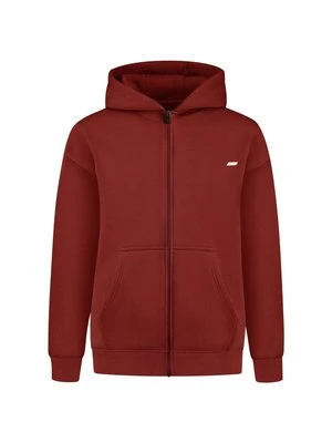 Bluza z kapturem Smilodox brązowy