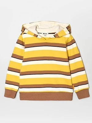 Bluza z kapturem Steiff