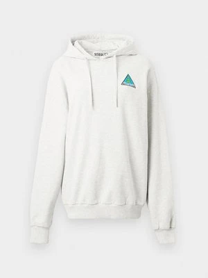 Bluza z kapturem Stieglitz szary