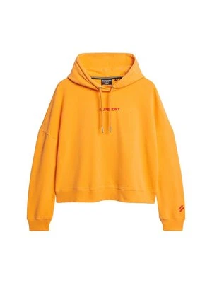 Bluza z kapturem Superdry