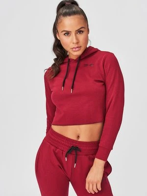 Bluza z kapturem Swedish Fall