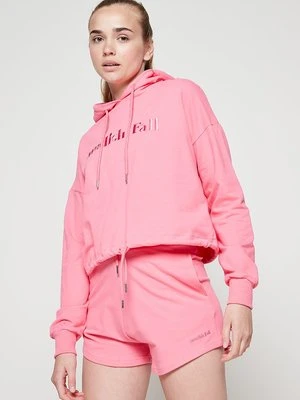 Bluza z kapturem Swedish Fall