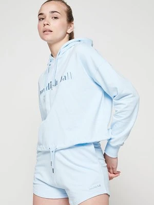 Bluza z kapturem Swedish Fall