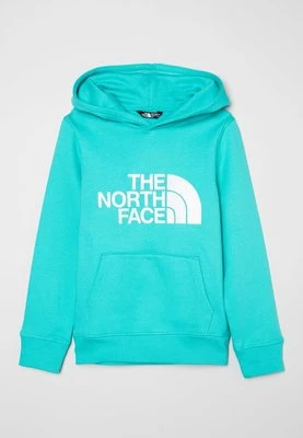 Bluza z kapturem The North Face