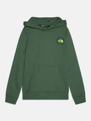 Bluza z kapturem The North Face