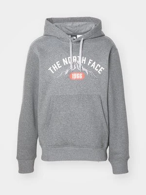 Bluza z kapturem The North Face