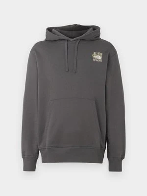 Bluza z kapturem The North Face