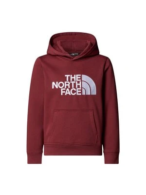 Bluza z kapturem The North Face