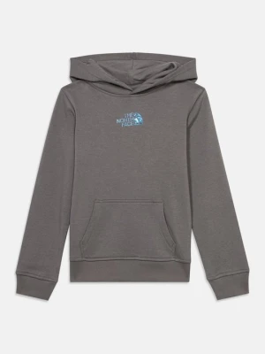 Bluza z kapturem The North Face szary