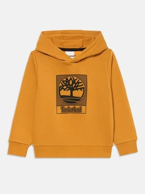 Bluza z kapturem Timberland beżowy