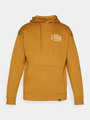 Bluza z kapturem Under Armour