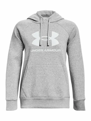 Bluza z kapturem Under Armour szary