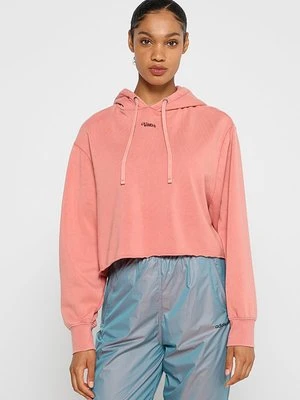 Bluza z kapturem Vans