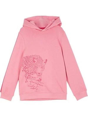 Bluza z kapturem, z czystej bawełny organicznej bonprix