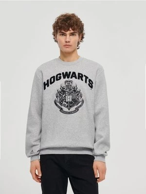 Bluza z nadrukiem Harry Potter szara House