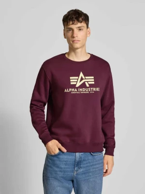 Bluza z nadrukiem z logo alpha industries
