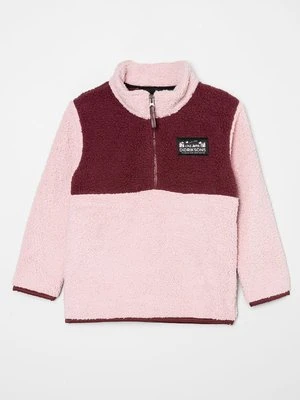 Bluza z polaru Didriksons