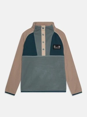 Bluza z polaru Didriksons