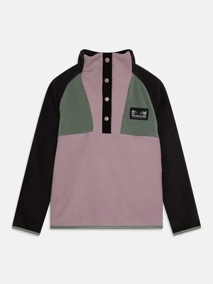 Bluza z polaru Didriksons