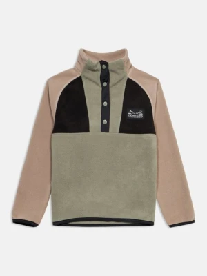 Bluza z polaru Didriksons jasnozielony
