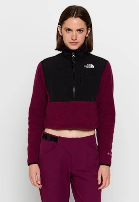 Bluza z polaru The North Face