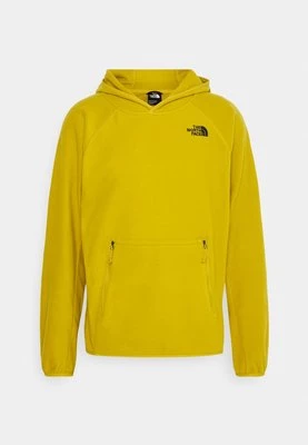 Bluza z polaru The North Face