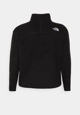 Bluza z polaru The North Face