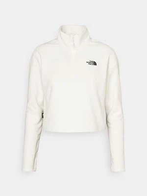 Bluza z polaru The North Face