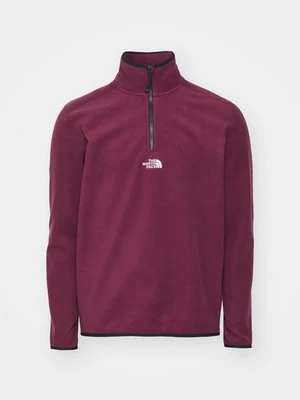 Bluza z polaru The North Face