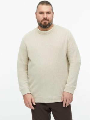 Bluza z prążkowaną fakturą s.Oliver beżowy