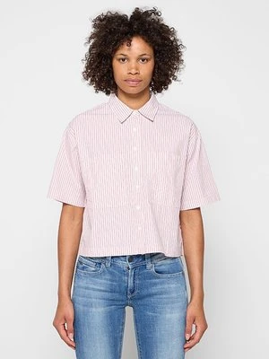 Bluzka Levi's jasnoróżowy