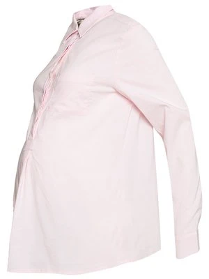 Bluzka Slacks & Co.