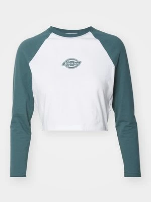 Bluzka z długim rękawem Dickies