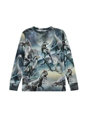 Bluzka z długim rękawem Molo