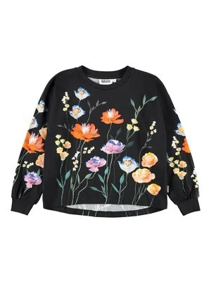 Bluzka z długim rękawem Molo