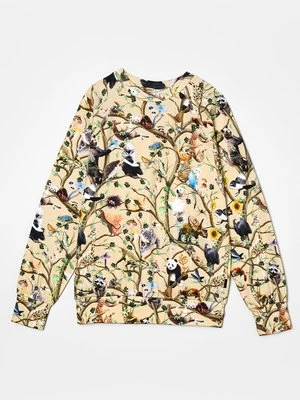 Bluzka z długim rękawem Molo