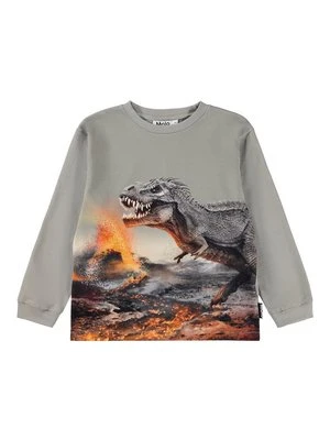 Bluzka z długim rękawem Molo