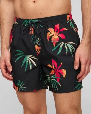 Boardszorty męskie Quiksilver Everyday Mix Volley 15
