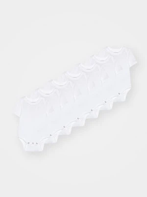 Body Friboo