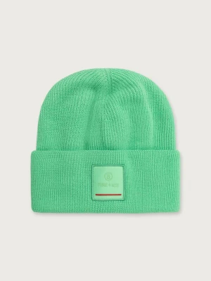 BOGNER Fire+Ice czapka beanie męska z dodatkiem wełny TAREK Bogner Fire + Ice zielony